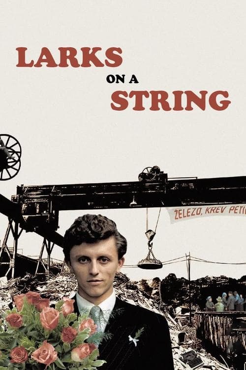 Skřivánci na niti